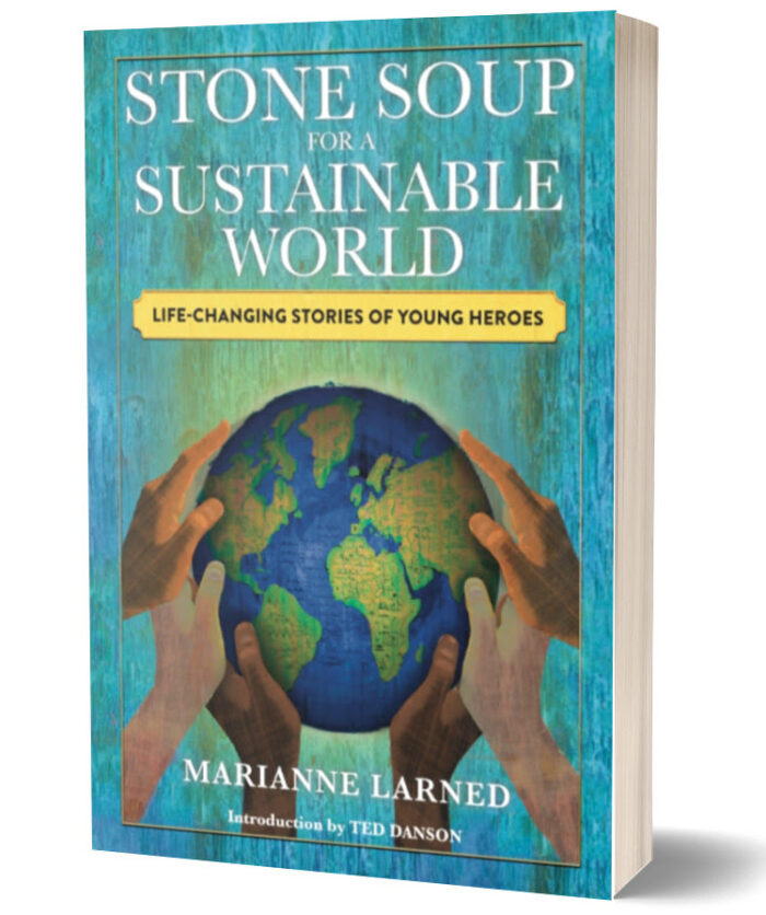 Stone soup for a sustainable world