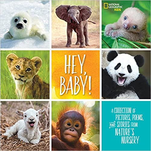 Hey, Baby!: A Collection of Pictures, Poems, and Stories from Nature's Nursery