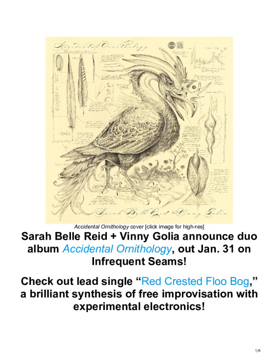 Sarah Belle Reid + Vinny Golia –  Accidental Ornithology